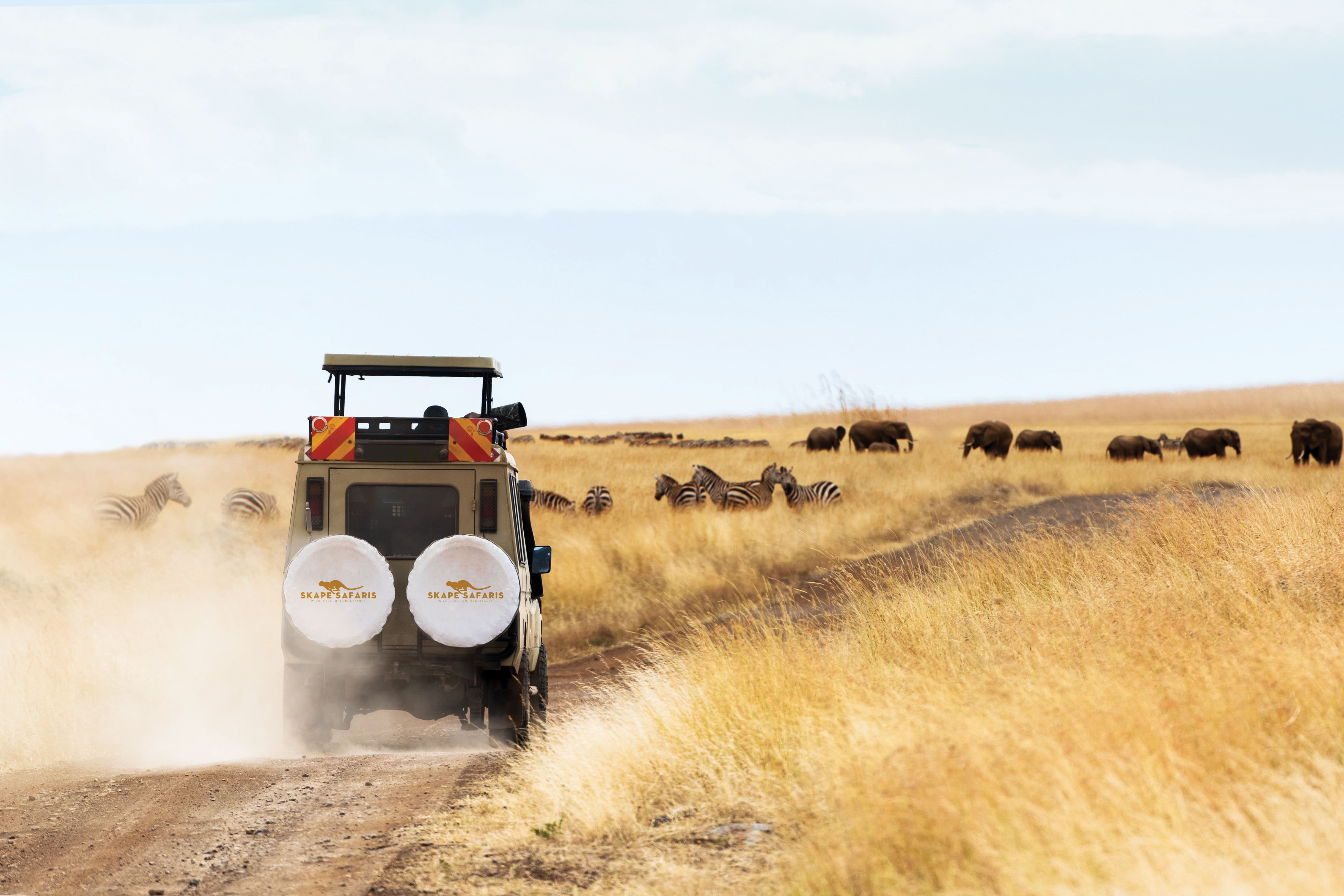 Safari-prepped 4×4 Vehicles