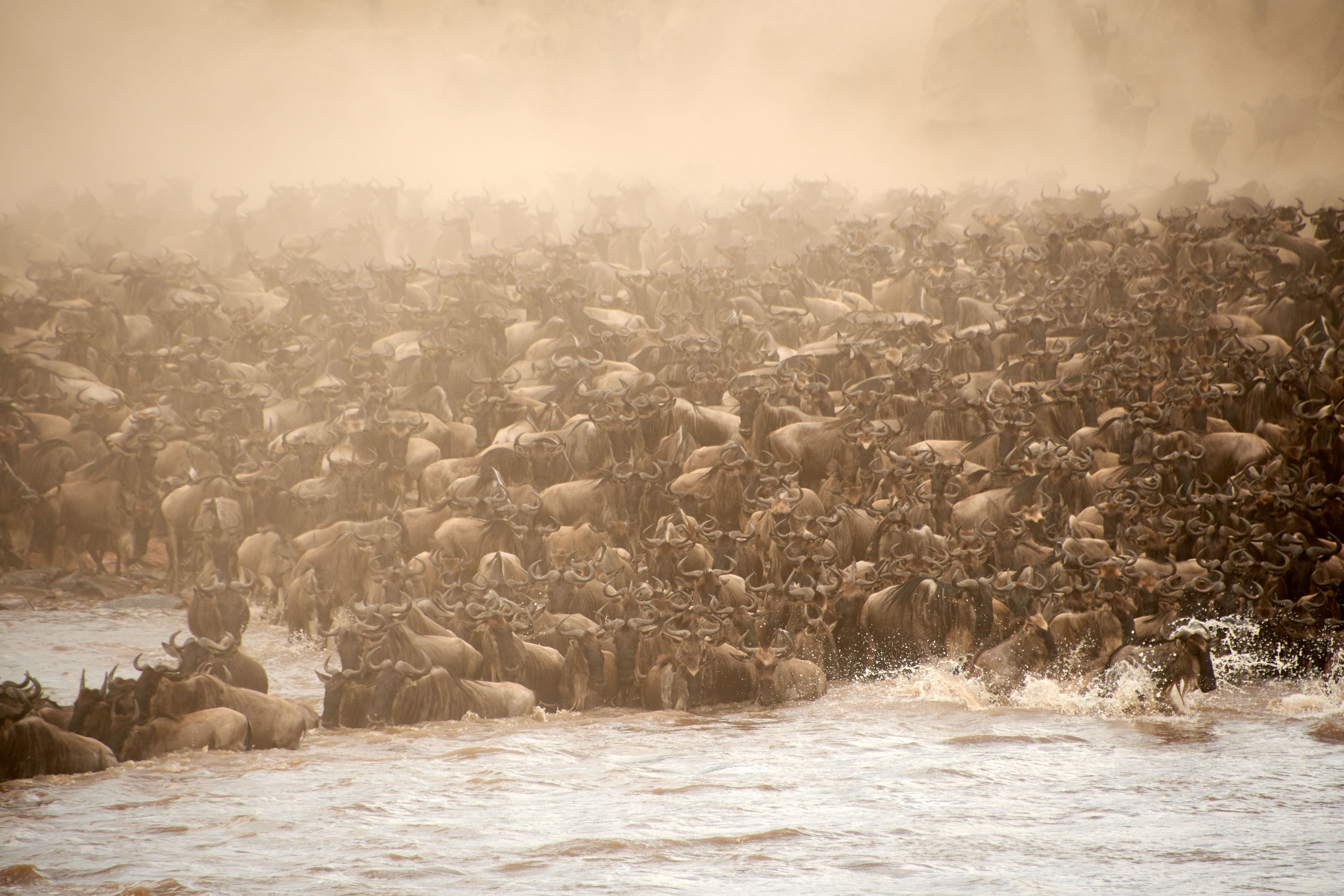 Serengeti National Park
