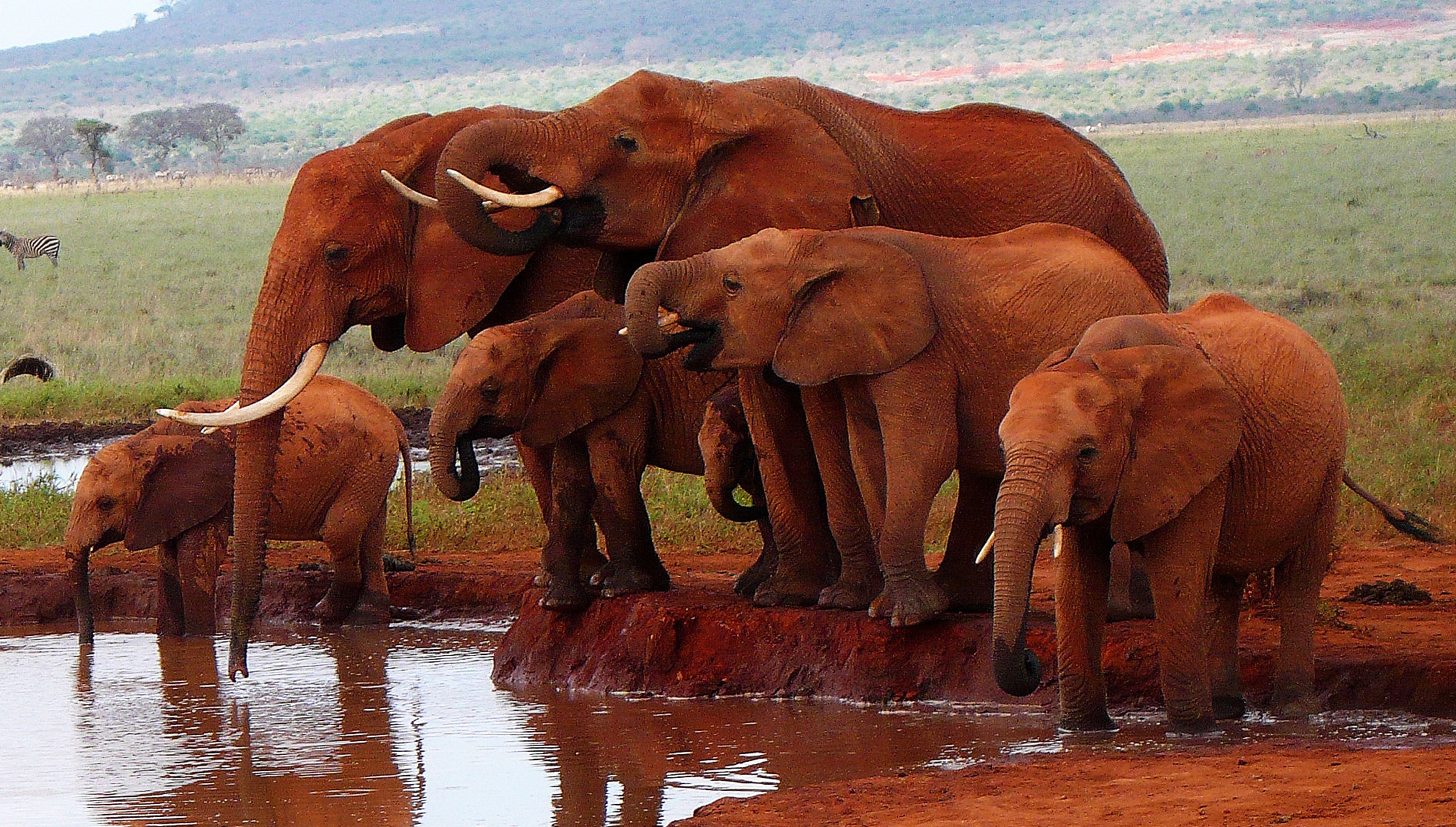 Tsavo National Parks